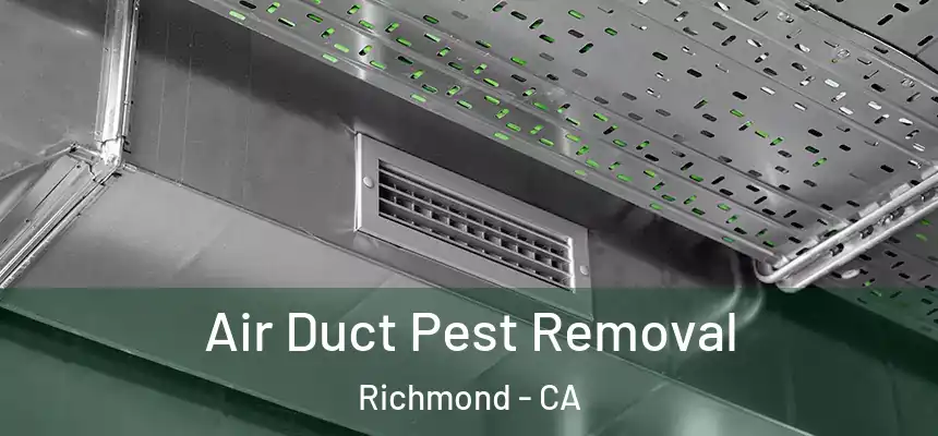Air Duct Pest Removal Richmond - CA