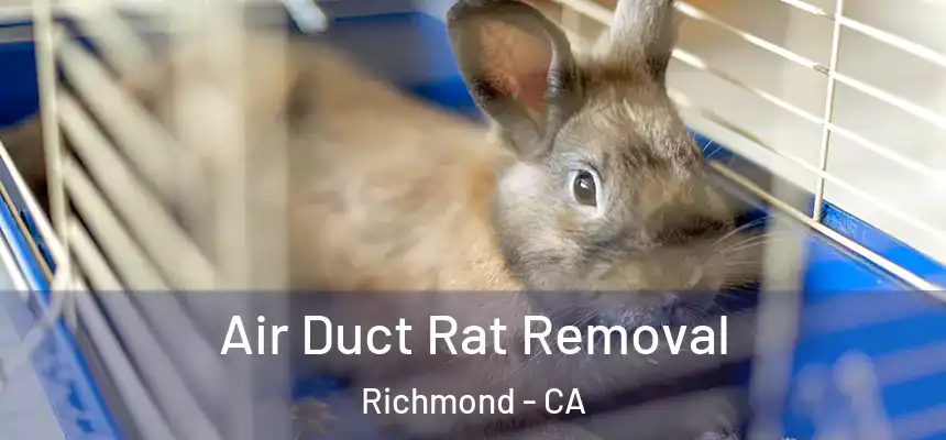 Air Duct Rat Removal Richmond - CA
