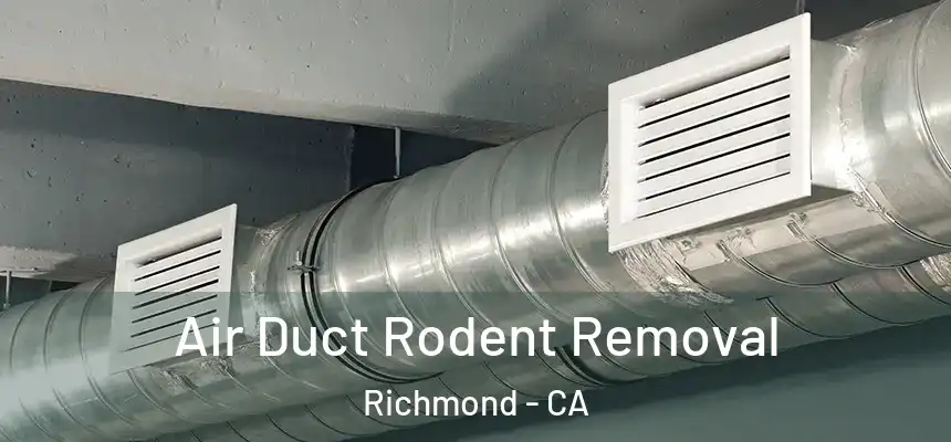 Air Duct Rodent Removal Richmond - CA