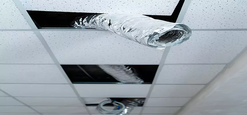 Our Air Duct Pet Hair Removal Services in Richmond, CA