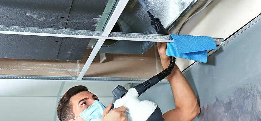 Our Air Duct Rodent Removal Services in Richmond, CA