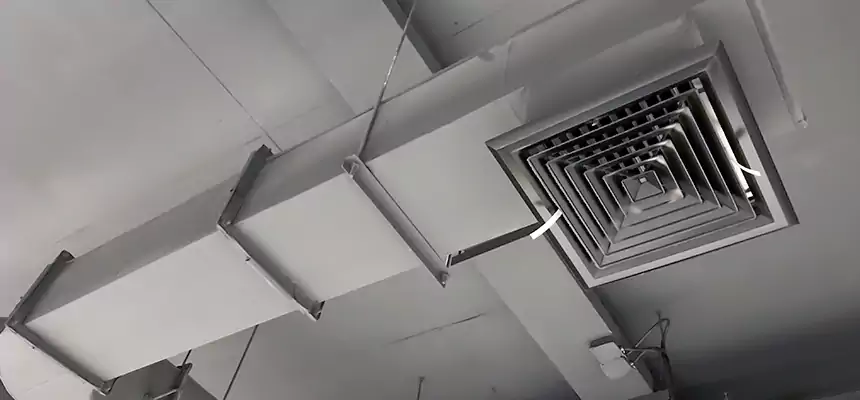 Our Pest Removal From Ducts Services in Richmond, CA