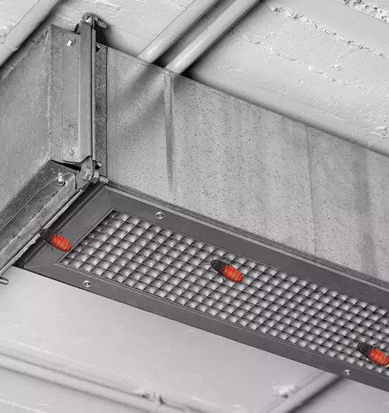 About Air Duct Cockroach Removal in Richmond, CA