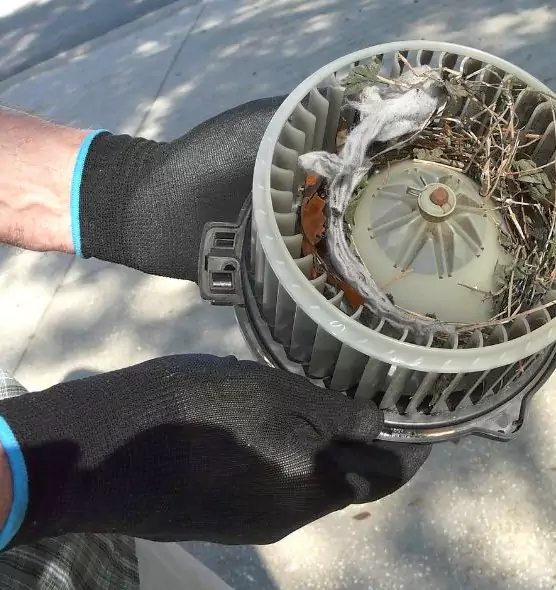 About Air Duct Mice Removal in Richmond, CA