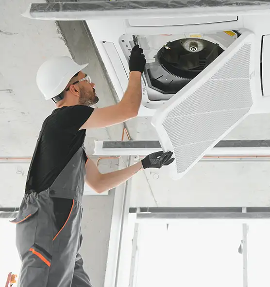 About Air Duct Rodent Removal in Richmond, CA