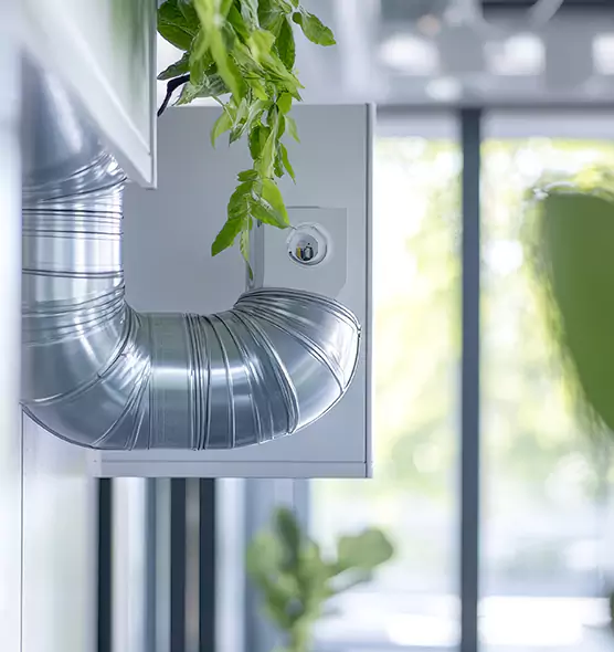 Professional Eco-Friendly Duct Cleaning Services in Richmond, CA
