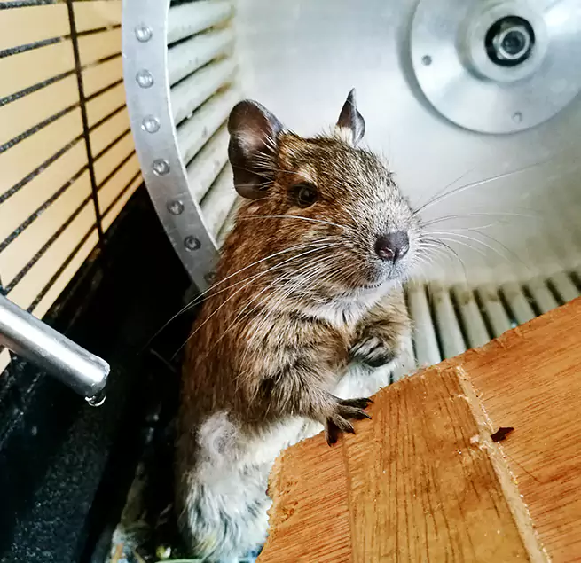 Why Homeowners & Businesses Trust Us Richmond, CA?